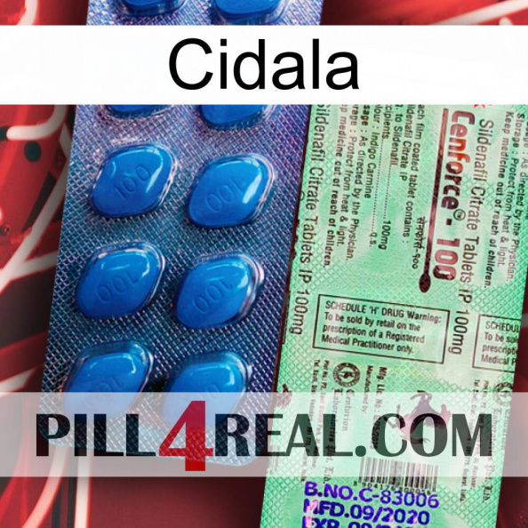 Cidala new02